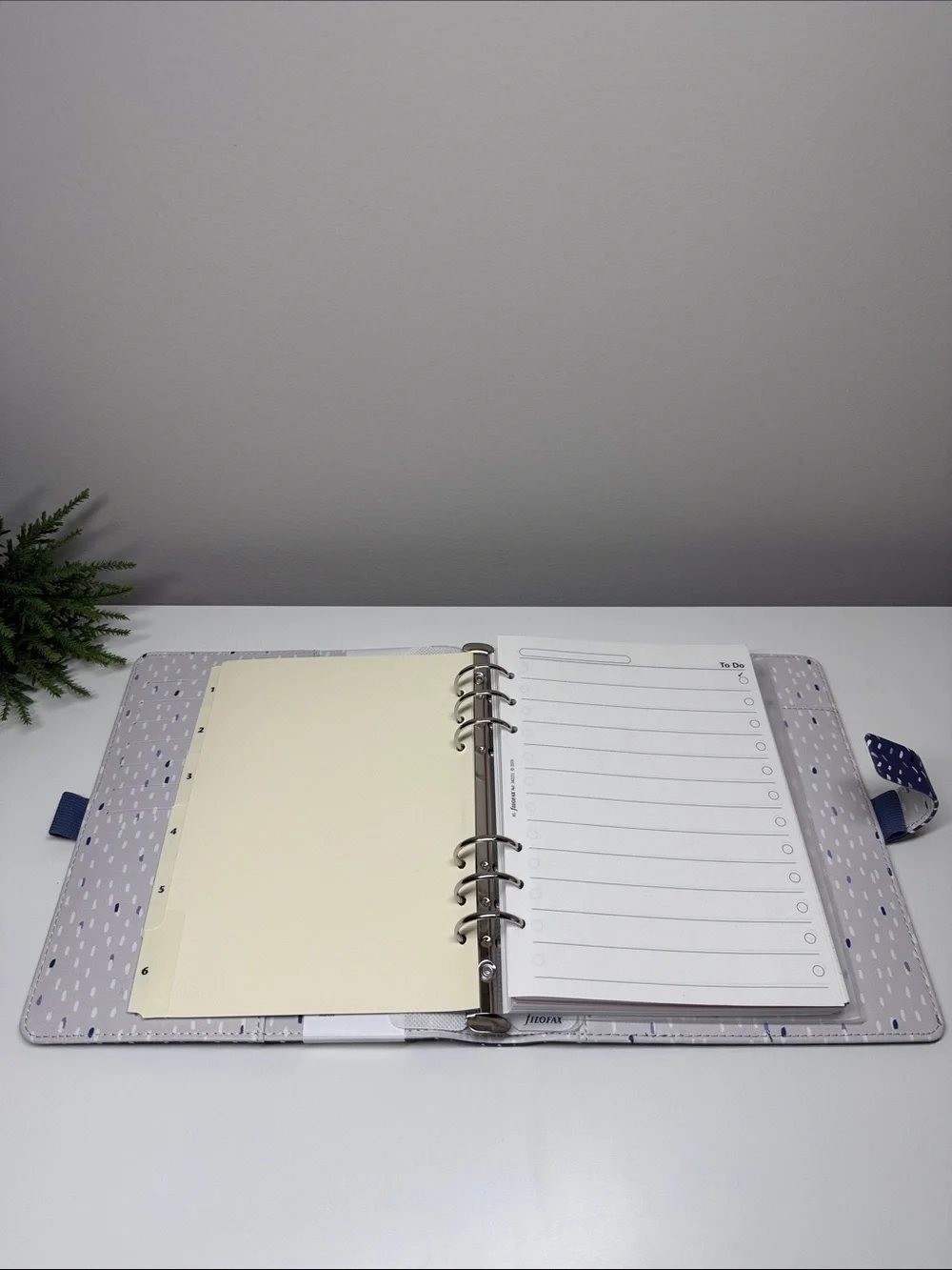 🎀 Filofax A5 Planner Organizer Agenda